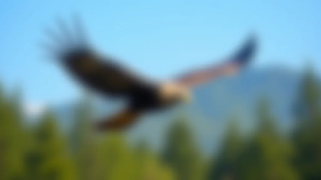 White-tailed eagle in flight over forest canopy, wings spread wide against blue sky, sharp detail and feather definition