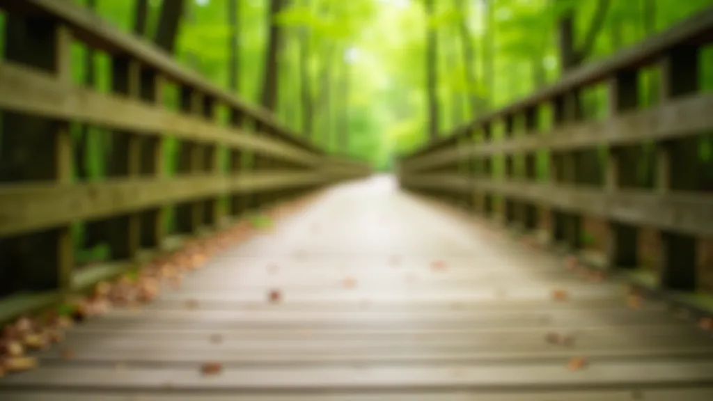 Close-up of weathered wooden boardwalk railing and solid plank surface, dappled forest light, accessible pathway perspective